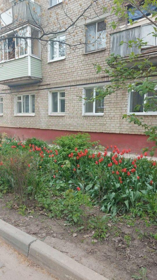 квартира городской округ Рузский Микрорайон, 6, Руза фото 16