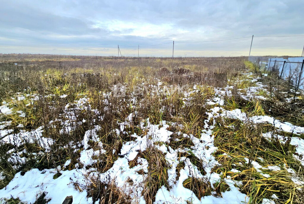 земля городской округ Коломенский с Мячково ул Садовая фото 8