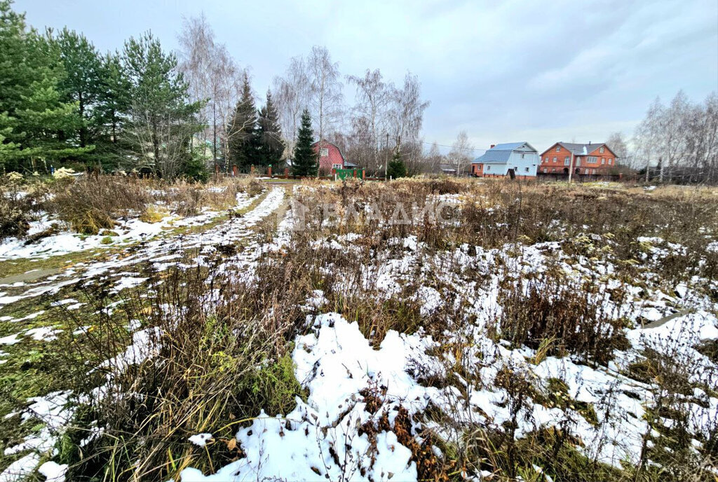 земля городской округ Коломенский с Мячково ул Садовая фото 7