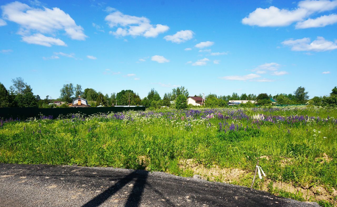 земля городской округ Дмитровский д Щепино 31 км, Икша, Дмитровское шоссе фото 2