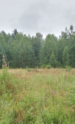 офис городской округ Павловский Посад д Часовня фото 2