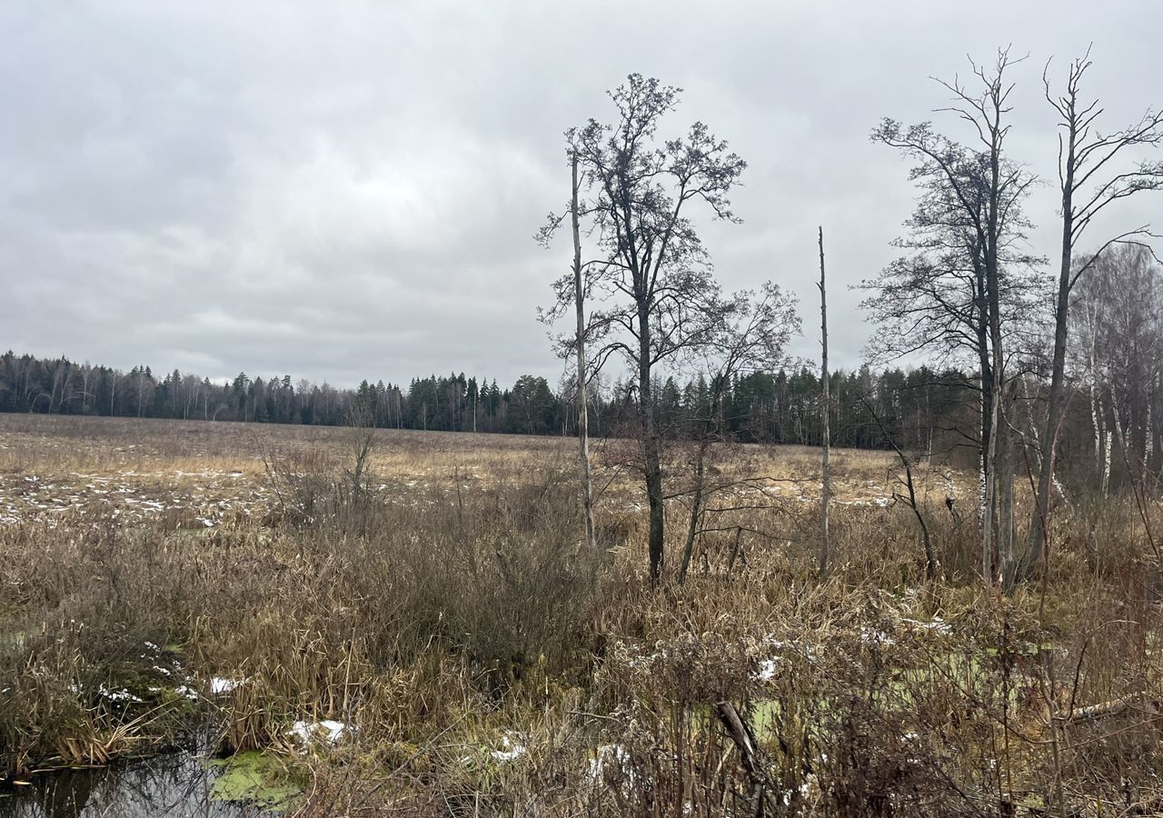 земля городской округ Одинцовский д Бутынь 31 км, Голицыно, Можайское шоссе фото 4