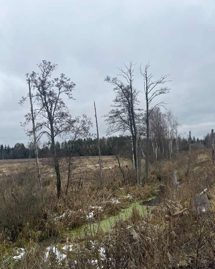 земля городской округ Одинцовский д Бутынь 31 км, Голицыно, Можайское шоссе фото 6