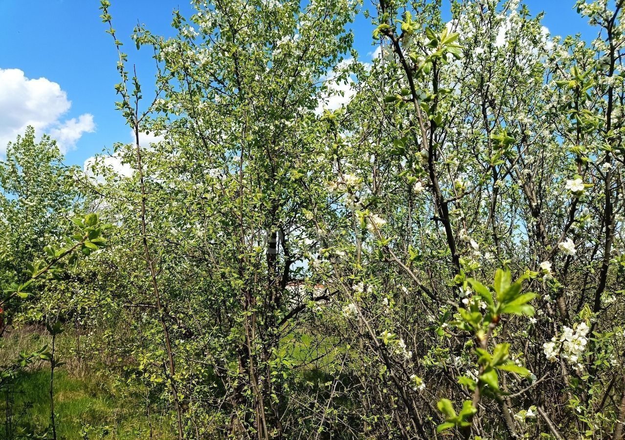 дом р-н Хохольский снт Крона Хохольское городское поселение фото 6