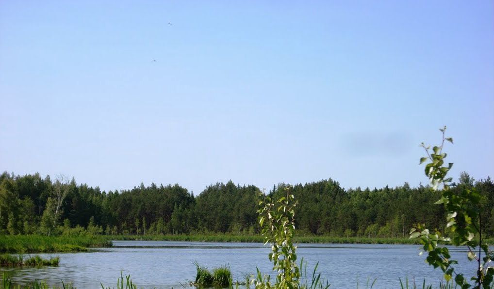 земля городской округ Клин д Подтеребово 78 км, Рогачево, Рогачёвское шоссе фото 2