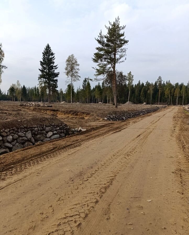 земля р-н Приозерский п Саперное Трасса Сортавала, 9801 км, Ромашкинское сельское поселение, садовое некоммерческое товарищество Ромашкинские усадьбы, ул. Александра Блока фото 7