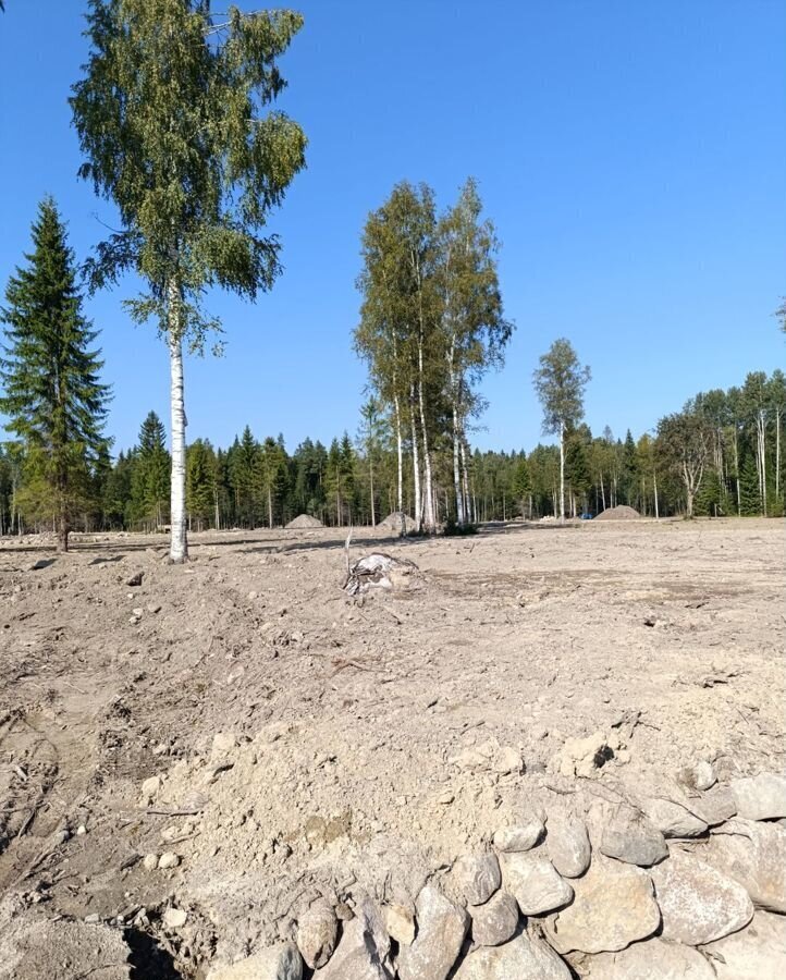 земля р-н Приозерский п Саперное Трасса Сортавала, 9801 км, Ромашкинское сельское поселение, садовое некоммерческое товарищество Ромашкинские усадьбы, ул. Александра Блока фото 24