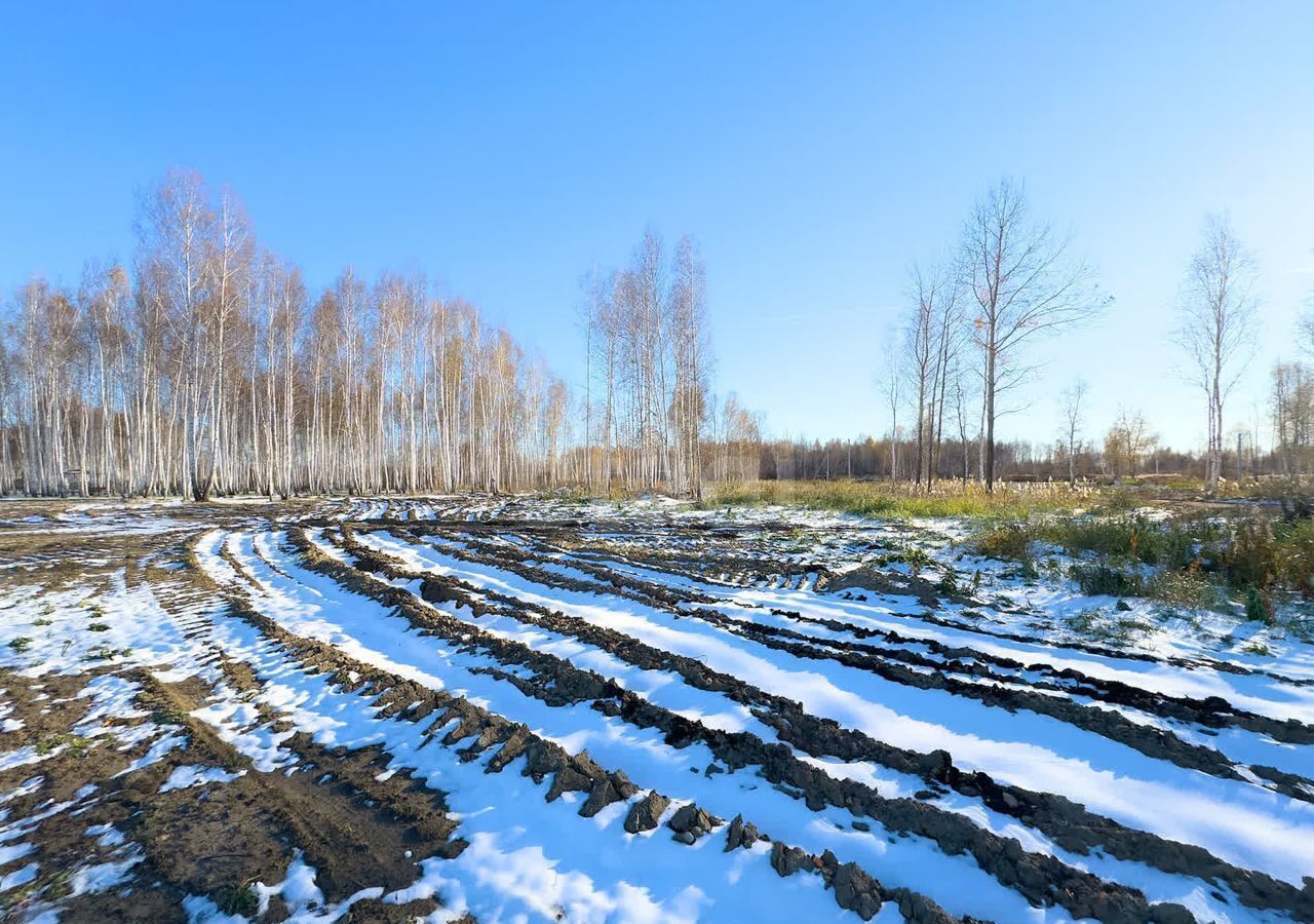 земля р-н Нижнетавдинский ТСН Строитель, Тюмень фото 7