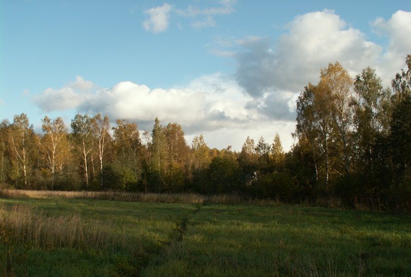 земля городской округ Рузский п Беляная Гора 81 км, Руза, Новорижское шоссе фото 3