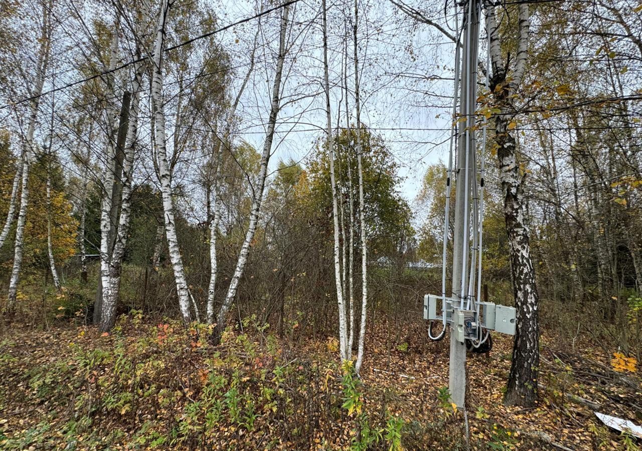 земля г Москва п Первомайское д Милюково ул Рузская 68 25 км, Новомосковский административный округ, Филимонковский р-н, Деревня, Московская область, городской округ Наро-Фоминский, Апрелевка, направление Киевское (юго-запад), Киевское шоссе фото 13