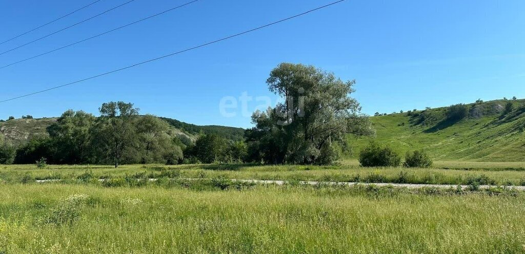 земля р-н Ишимбайский с Ишеево ул Тугай фото 8