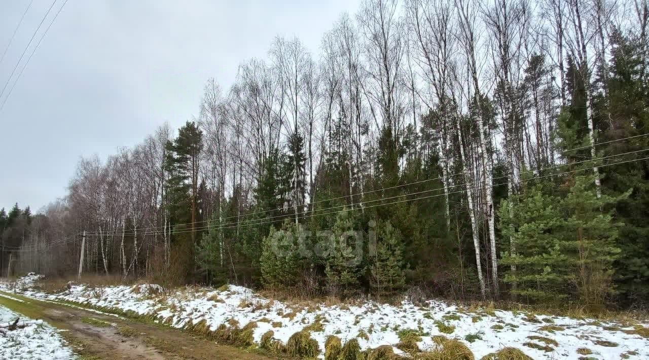 дом р-н Ярославский д Заборное Туношенское с/пос фото 2