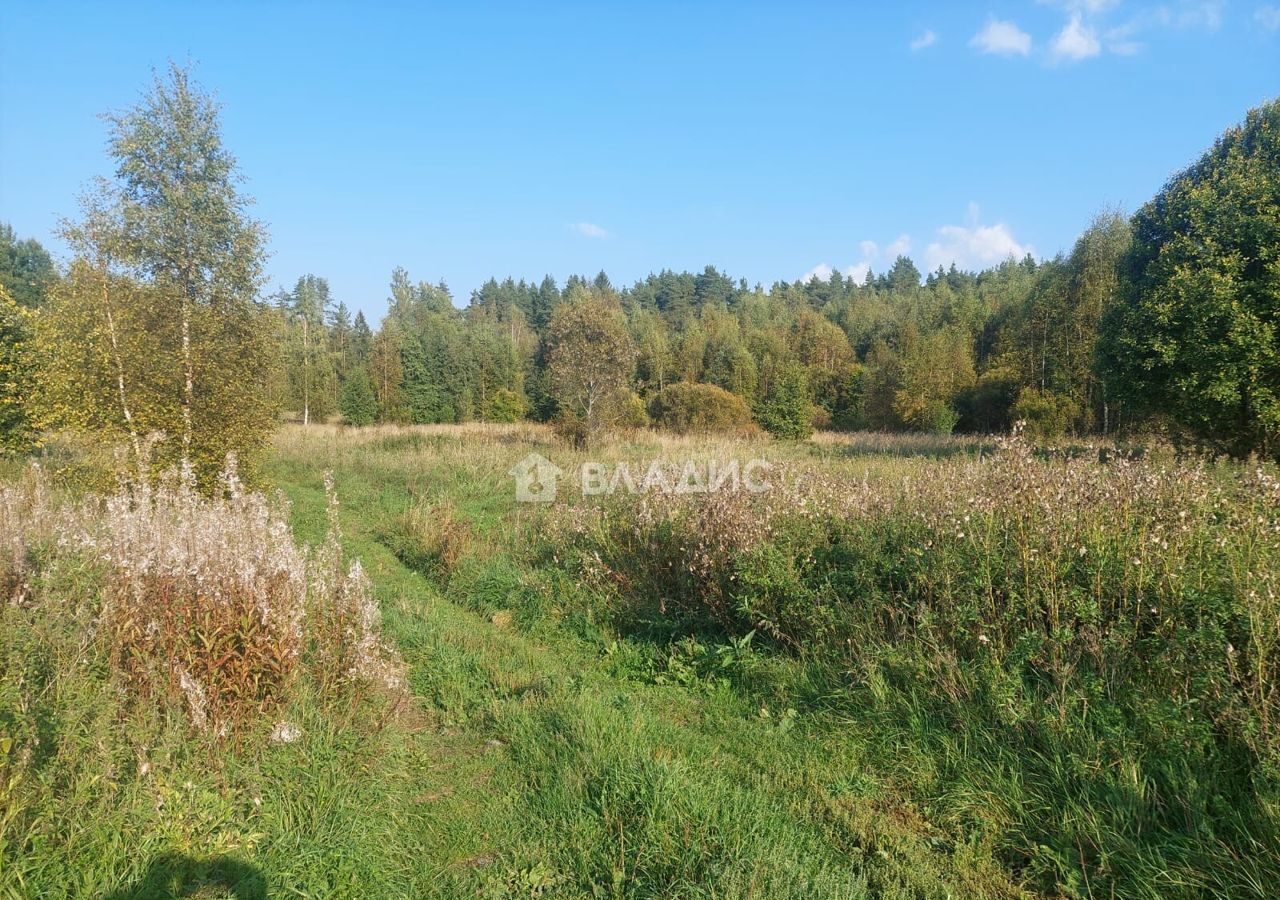 земля р-н Выборгский п Мамонтовка Приморское шоссе, 58 км, Приморское городское поселение, Красная Долина фото 5