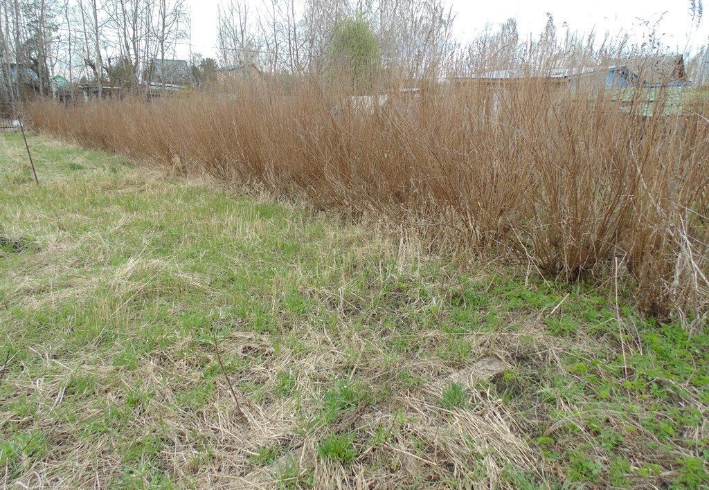 дом городской округ Богородский п Воровского снт Сплав 30 км, Носовихинское шоссе фото 38