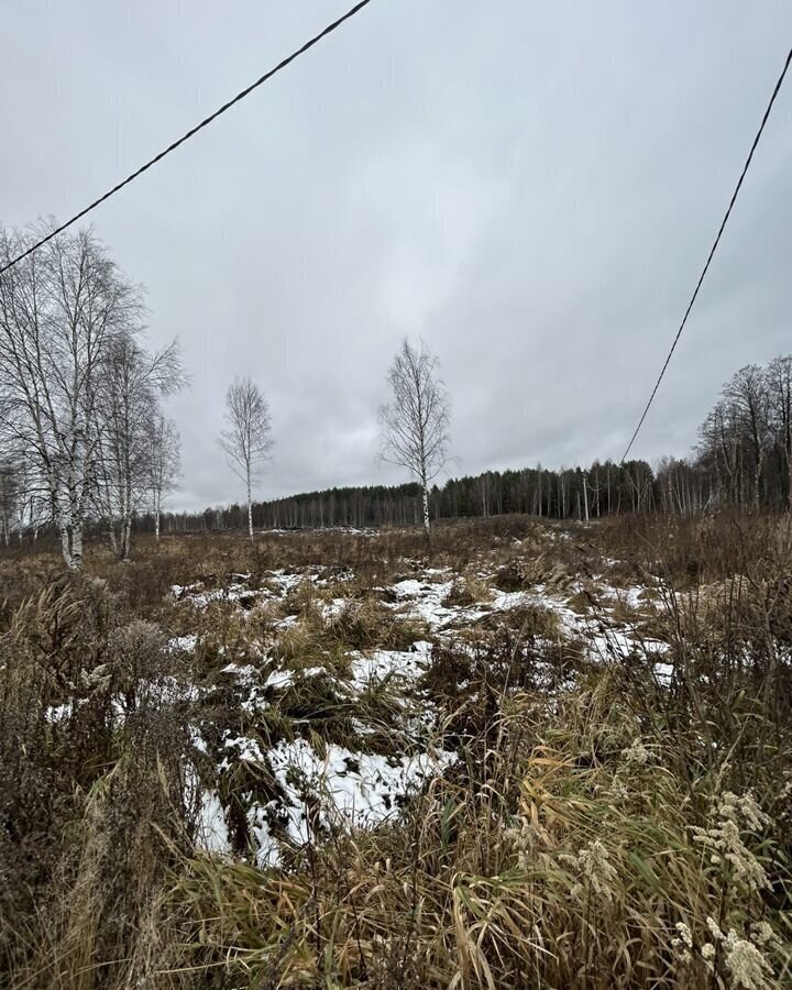 земля направление Ярославское (северо-восток) ш Щелковское 54 км, муниципальное образование Филипповское, Рябиновая ул, Владимирская обл., Киржачский р-н, с. Заречье, Черноголовка фото 5