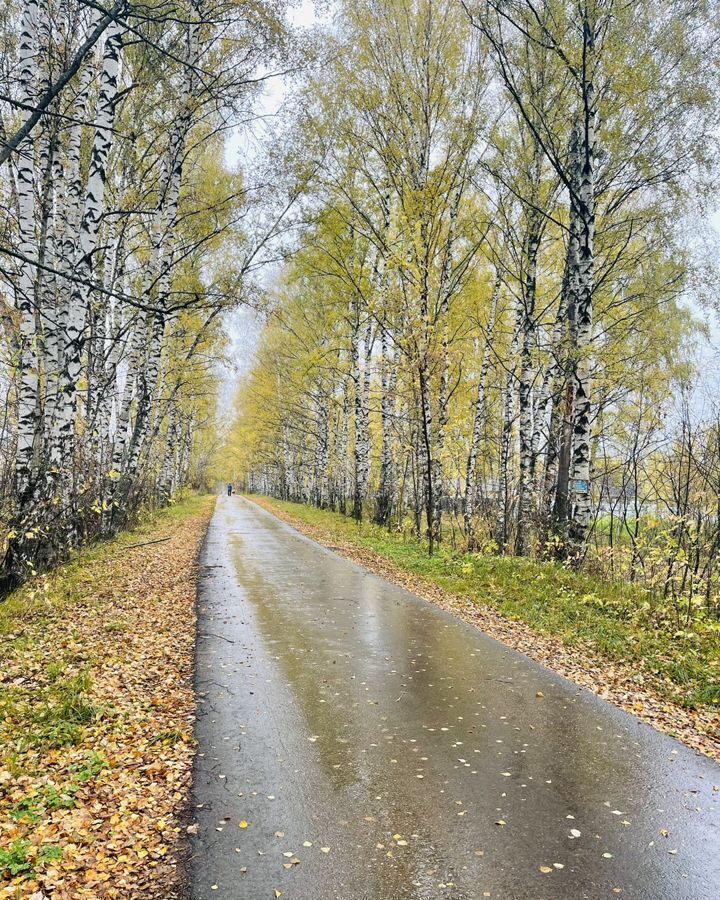 дом р-н Чкаловский д Шестово 18, Чкаловск фото 18