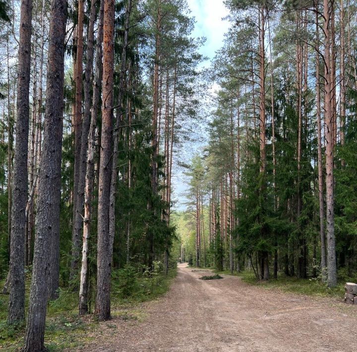 дом р-н Всеволожский д Вартемяги ул Полякова Агалатовское с/пос, Озерки фото 19