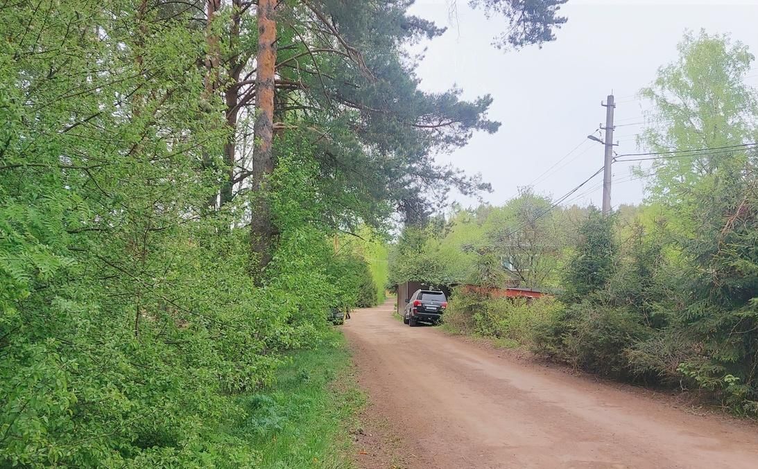 земля направление Горьковское (восток) ш Горьковское 9 км, Кучинский лесопарк, Балашиха фото 6