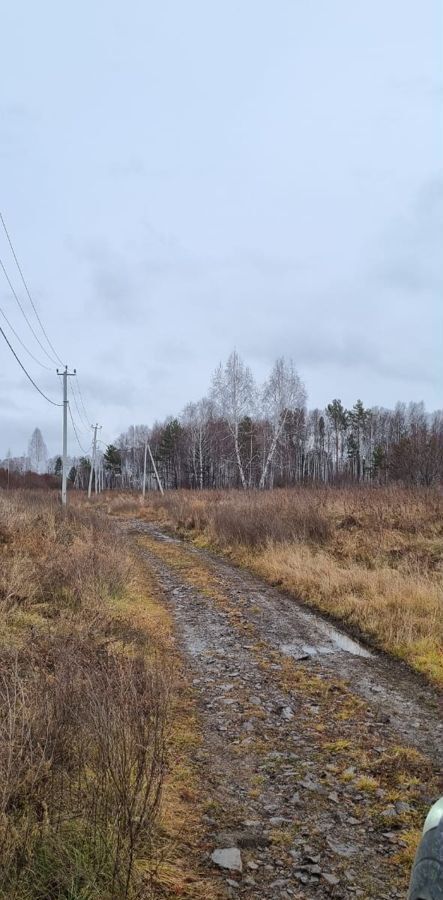 земля р-н Емельяновский п Емельяново снт Черемшанка фото 3