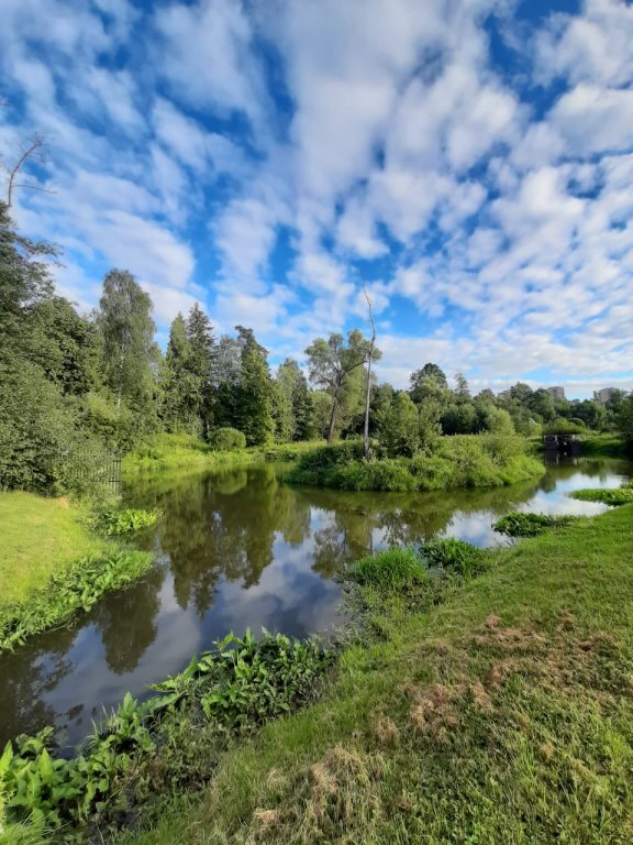 гостиницу городской округ Одинцовский г Звенигород ст Звенигород фото 4