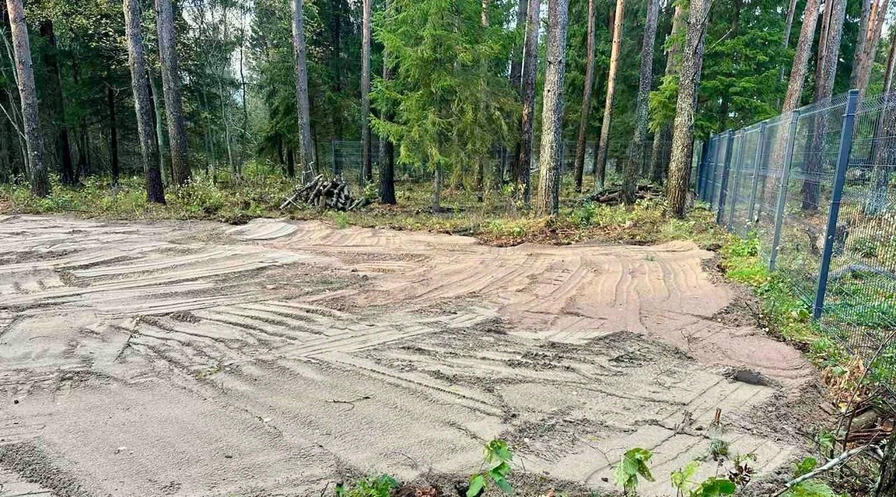 земля р-н Выборгский Полянское с/пос, Хочу в лес дп фото 2