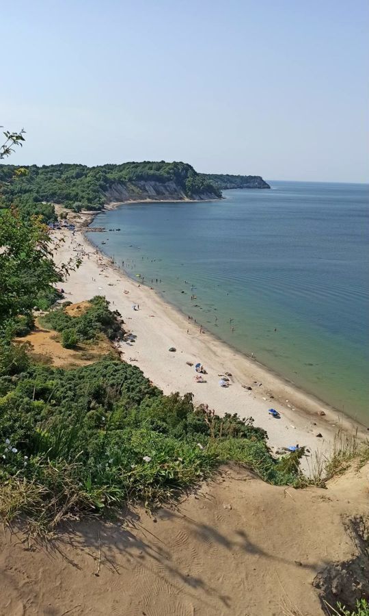 квартира р-н Светлогорский г Светлогорск ул Сосновая 13 фото 1