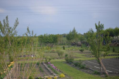 гостиницу р-н Зеленоградский п Клюквенное Shkolnaya Ulitsa, Shkolnaya Ulitsa 10 Svetlogorsk 238554 фото 7