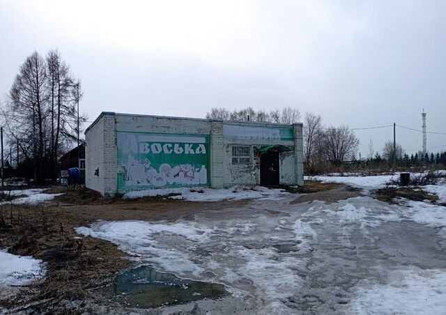 торговое помещение д Владычнево Березниковского сельсовета Устье фото