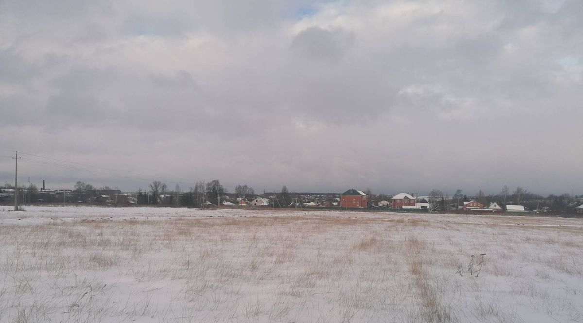 земля городской округ Раменский с Давыдово фото 2