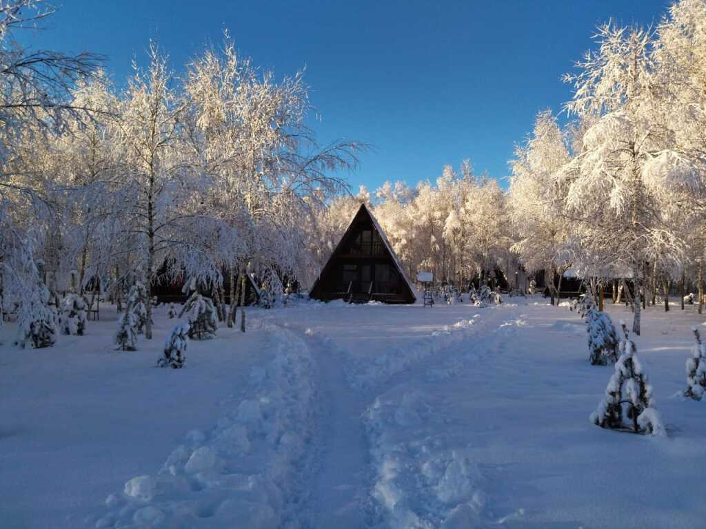 гостиницу р-н Ясногорский с Кузьмищево фото 9