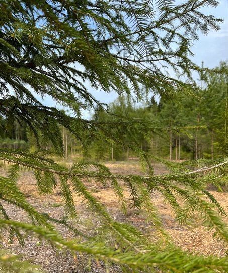 земля городской округ Ступино д Агарино ул Агаринская 5 57 км, Михнево, Новокаширское шоссе фото 4