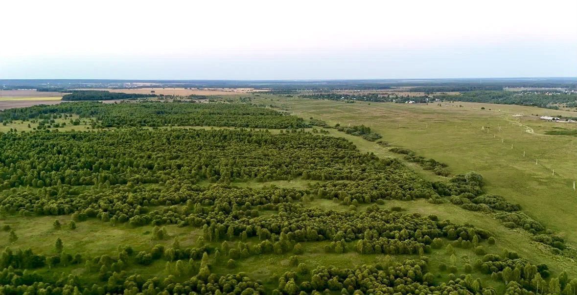 земля городской округ Ступино д Макеево 9779 км, 5-й Макеевский пр, Михнево, Новокаширское шоссе фото 4