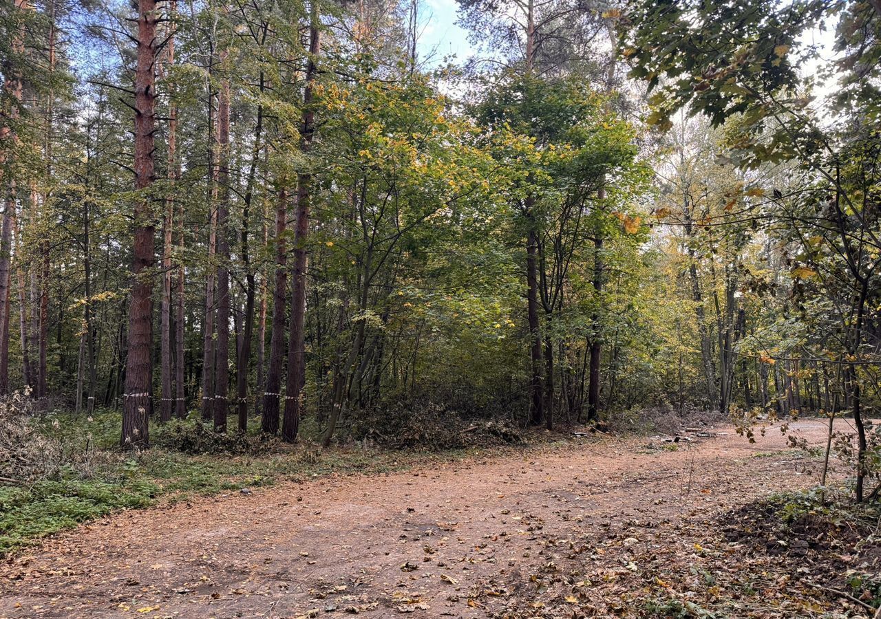 земля городской округ Люберцы рп Малаховка 12 км, г. о. Люберцы, Быковское шоссе фото 13