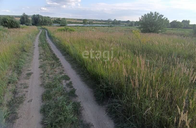 земля городской округ Коломенский с Троицкие Озёрки городской округ Коломна фото 2