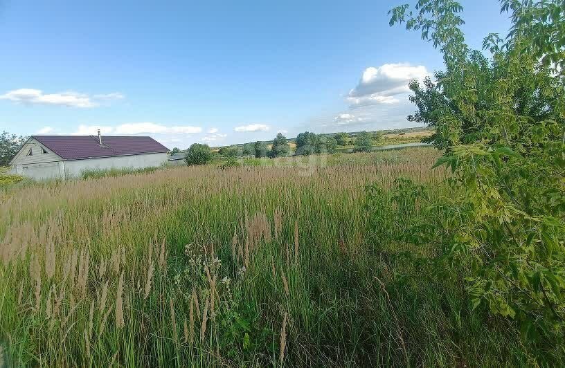 земля городской округ Коломенский с Троицкие Озёрки городской округ Коломна фото 4