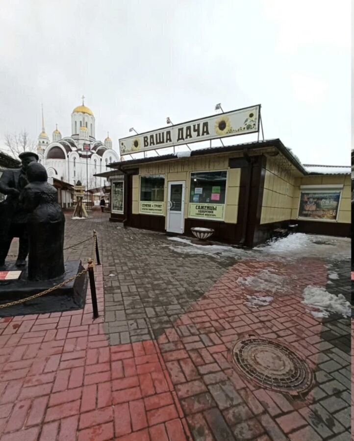 торговое помещение г Воронеж р-н Коминтерновский ул Владимира Невского 48з/2 фото 6