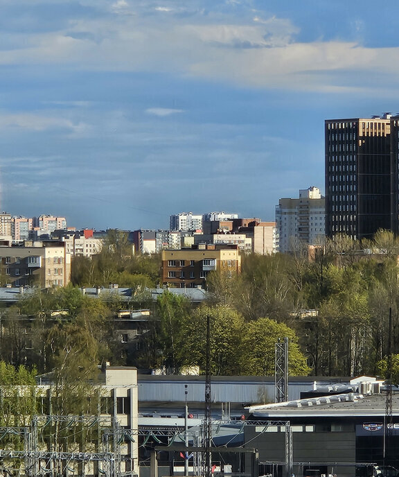 квартира г Санкт-Петербург метро Удельная ул Манчестерская 5к/1 фото 15