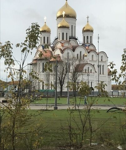 аллея Берёзовая 19к/6 Ботанический сад, аллея фото