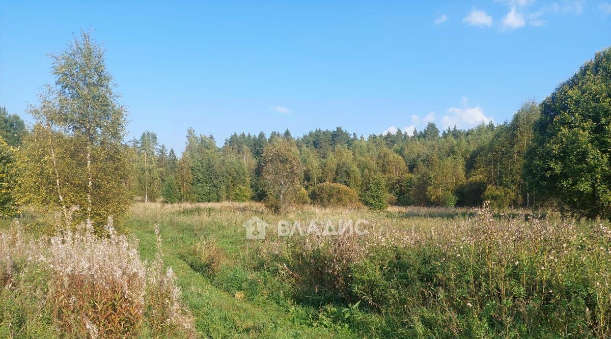 офис р-н Выборгский п Мамонтовка Приморское городское поселение фото 3