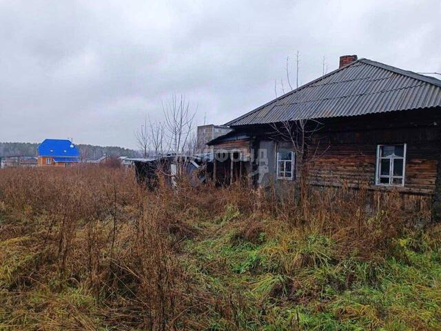 с Барышево ул Черняховского Барышевский сельсовет фото