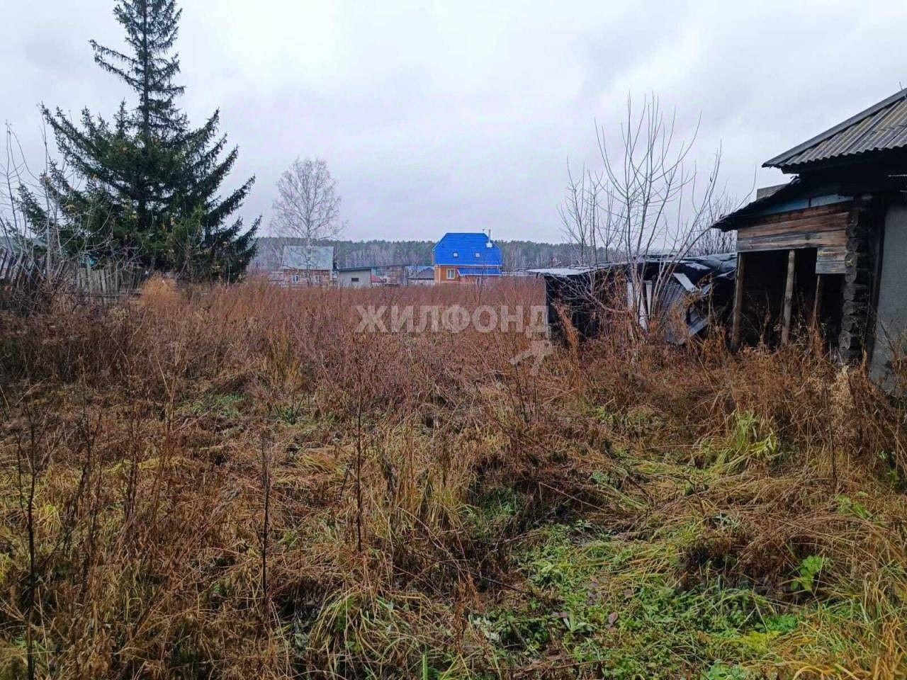 дом р-н Новосибирский с Барышево ул Черняховского Барышевский сельсовет фото 2