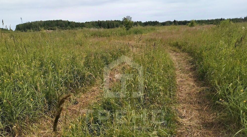 земля р-н Лужский тер Массив Дивенская днп Красный Маяк Мшинское с/пос, 136 фото 3