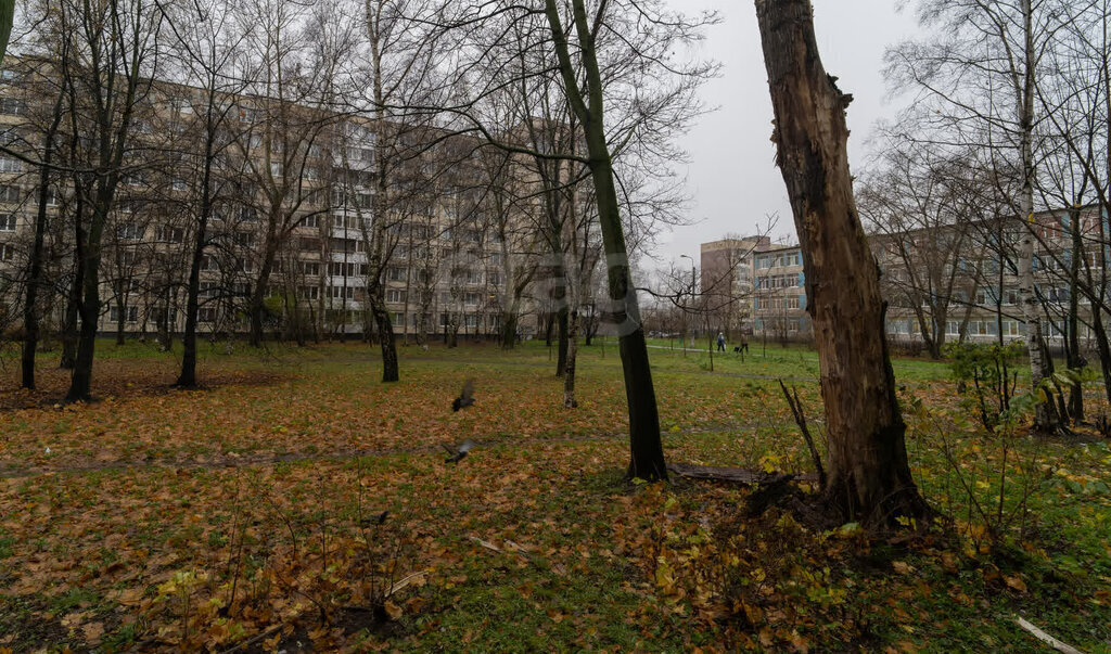 квартира г Санкт-Петербург метро Лесная пр-кт Маршала Блюхера 50 округ Полюстрово фото 1