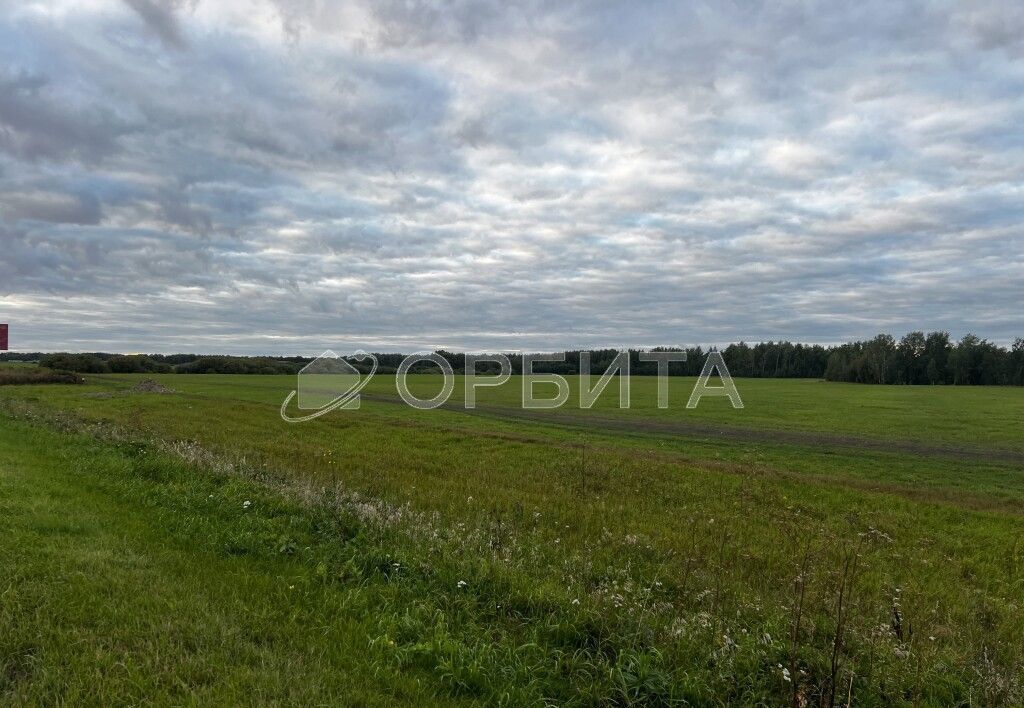 земля г Тюмень р-н Центральный пл Центральная фото 1