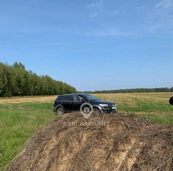 земля р-н Рыбинский д Истомино с пос, Глебовское фото 2