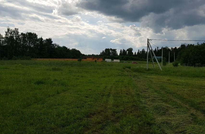 земля р-н Волосовский п Беседа Большеврудское сельское поселение фото 2