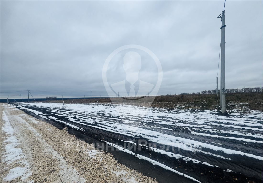 земля р-н Рязанский с Горетово ул Центральная Вышгородское сельское поселение, Мурмино фото 3