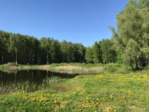 гостиницу р-н Богородский г Богородск фото 30