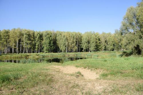 гостиницу р-н Богородский г Богородск фото 35