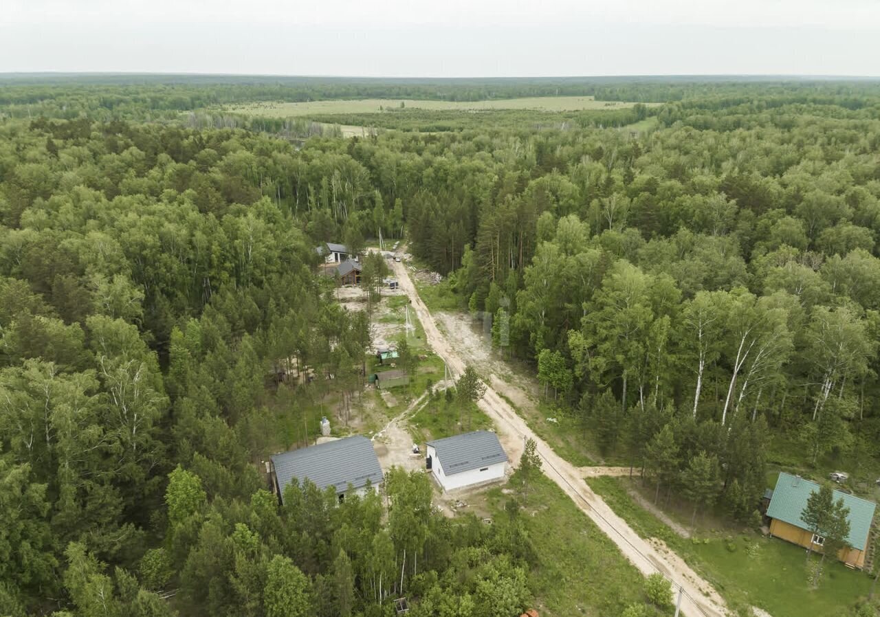 земля р-н Новосибирский Кубовинский сельсовет, Колывань фото 4